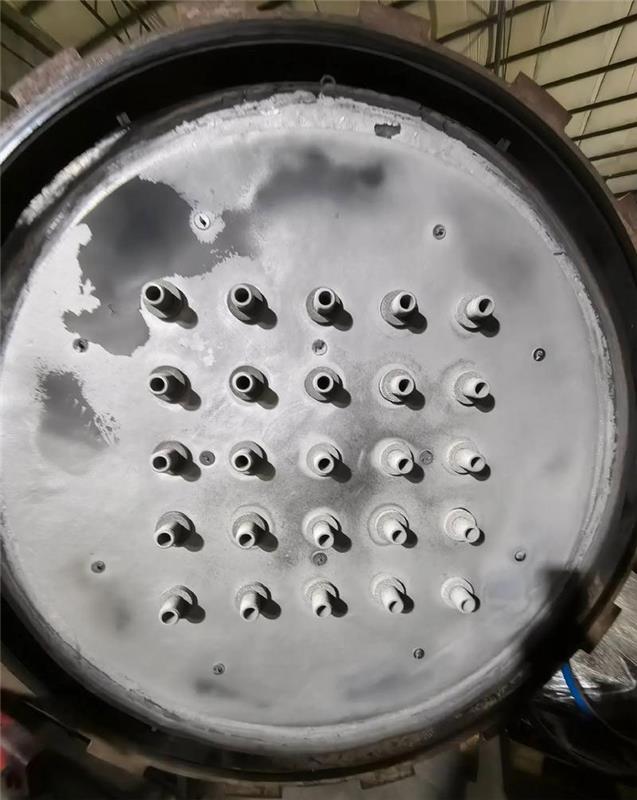 �������¯